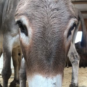 Meet your Posher, Ethan